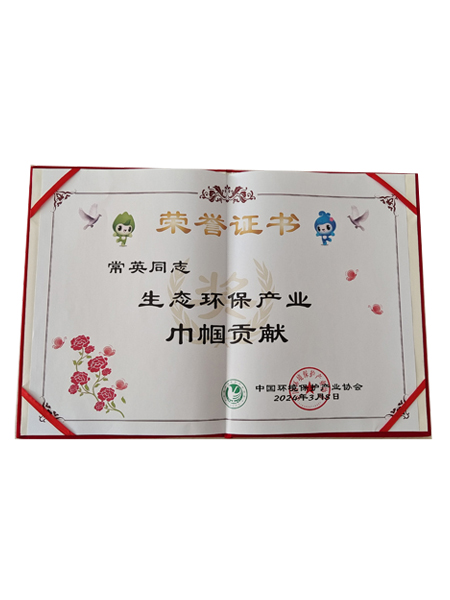 中國(guó)環(huán)境保護(hù)產(chǎn)業(yè)協(xié)會(huì)巾幗貢獻(xiàn)獎(jiǎng)